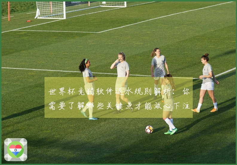 世界杯竞猜软件返水规则解析：你需要了解哪些关键点才能放心下注