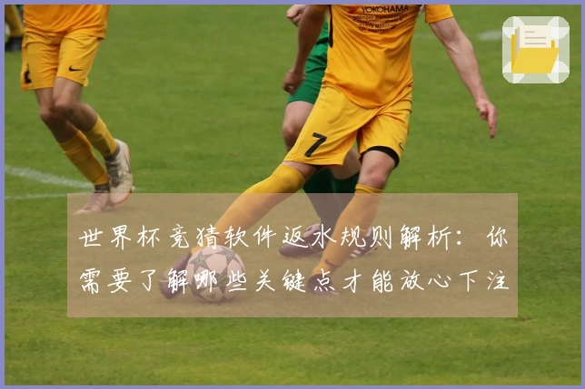 世界杯竞猜软件返水规则解析：你需要了解哪些关键点才能放心下注