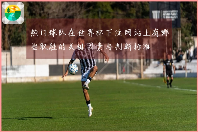 热门球队在世界杯下注网站上有哪些取胜的关键因素与判断标准