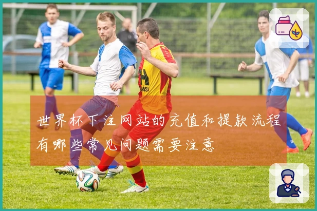 世界杯下注网站的充值和提款流程有哪些常见问题需要注意