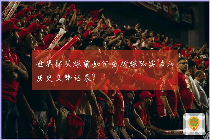 世界杯买球前如何分析球队实力和历史交锋记录？