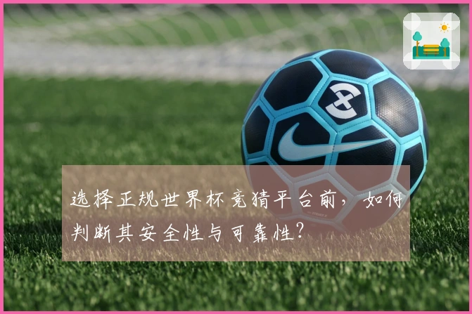 选择正规世界杯竞猜平台前，如何判断其安全性与可靠性？