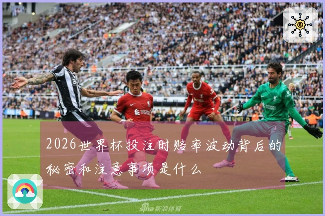 2026世界杯投注时赔率波动背后的秘密和注意事项是什么
