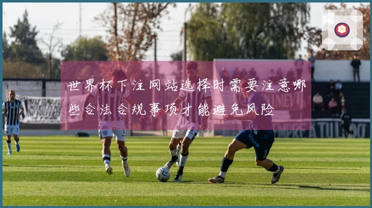 世界杯下注网站选择时需要注意哪些合法合规事项才能避免风险