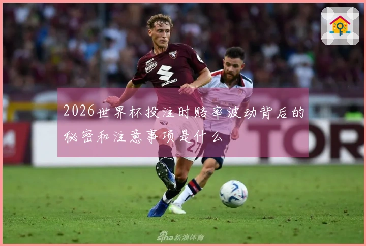 2026世界杯投注时赔率波动背后的秘密和注意事项是什么