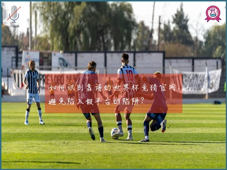 如何识别靠谱的世界杯竞猜官网，避免陷入假平台的陷阱？