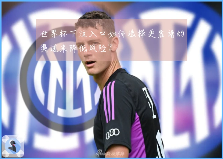 世界杯下注入口如何选择更靠谱的渠道来降低风险？