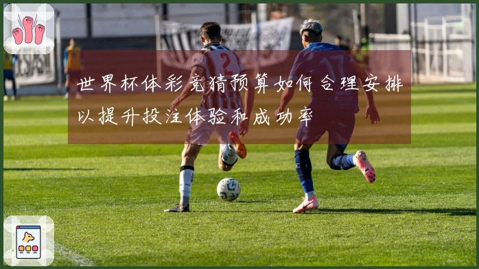 世界杯体彩竞猜预算如何合理安排以提升投注体验和成功率